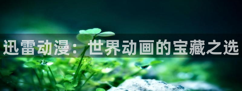 动漫天堂从哪下载安装