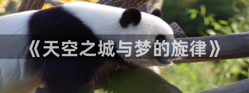 动漫天堂之吻：《天空之城与梦的旋律》