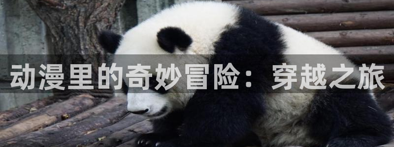动漫天堂在线观看：动漫里的奇妙冒险：穿越之旅
