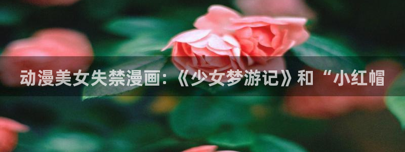 bt动漫天堂：动漫美女失禁漫画: 《少女梦游记》和“小红帽