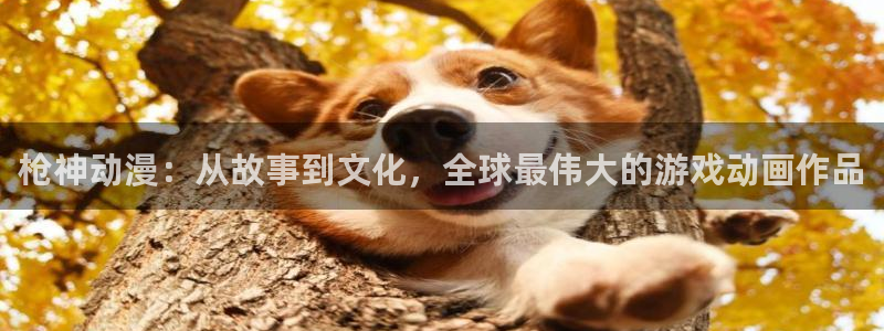 动漫天堂官方正版下载：枪神动漫：从故事到文化，全球最伟大的游戏动画作品
