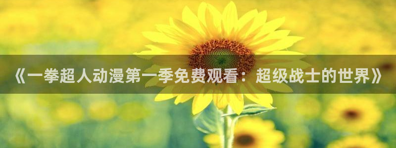 秋叶原动漫天堂：《一拳超人动漫第一季免费观看：超级战士的世界》
