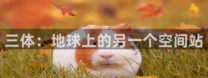 91动漫天堂：三体：地球上的另一个空间站