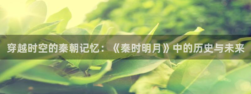 动漫天堂在线看：穿越时空的秦朝记忆：《秦时明月》中的历史与未来