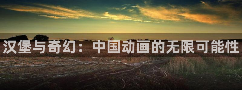 成人动漫天堂网：汉堡与奇幻：中国动画的无限可能性