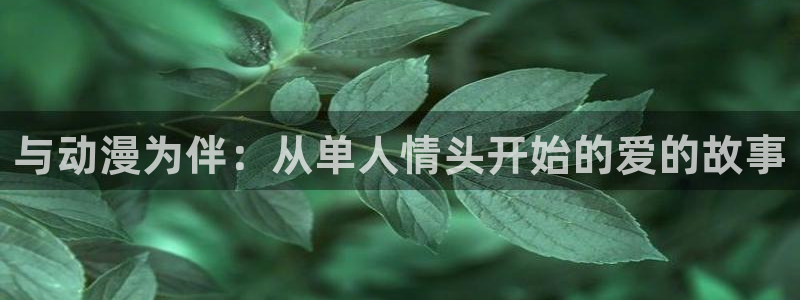 动漫天堂网址：与动漫为伴：从单人情头开始的爱的故事