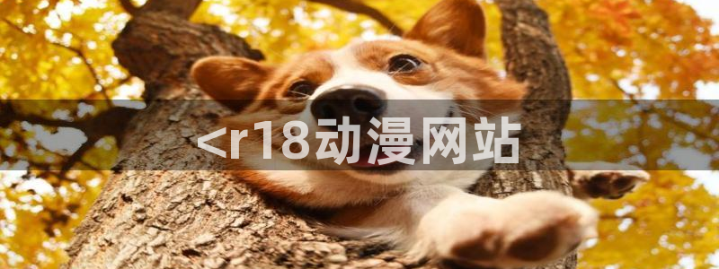 18动漫天堂