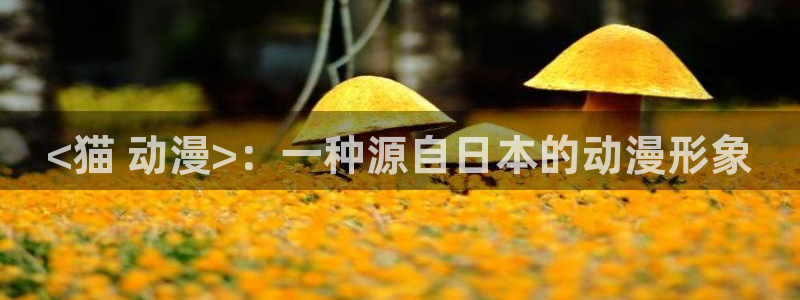 动漫天堂免费观看