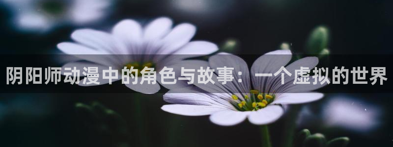 动漫天堂免费下载