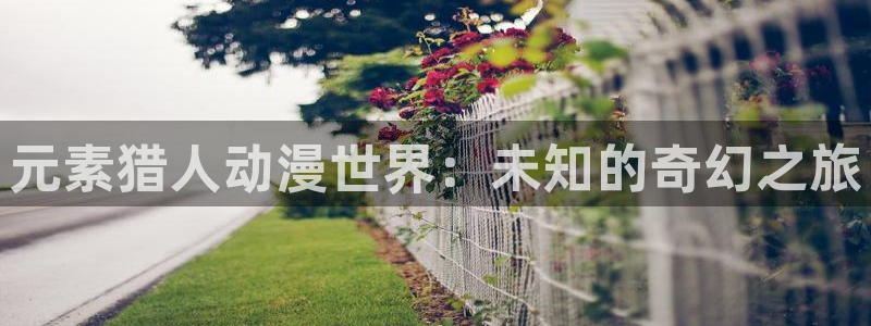 内地动漫天堂