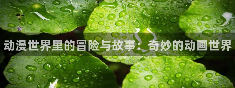 动漫天堂.cc