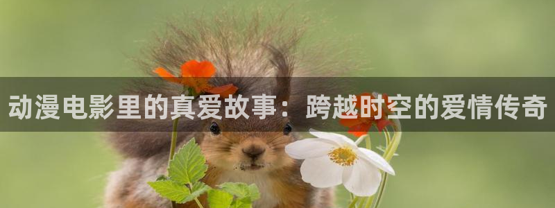 秋叶原动漫天堂