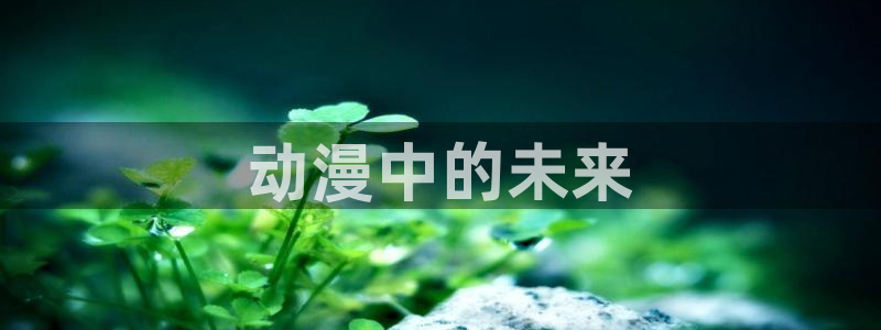 18动漫天堂