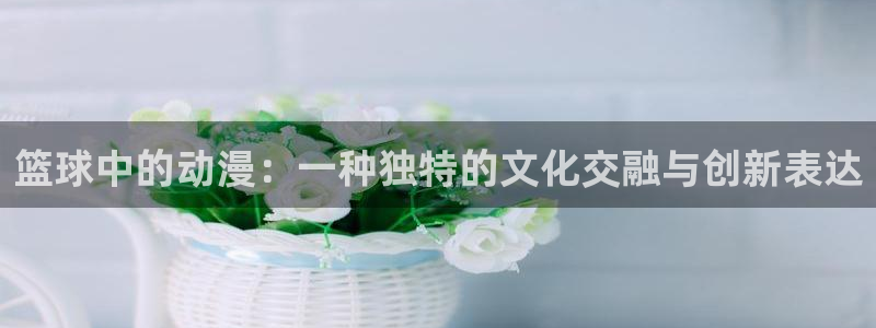 动漫天堂岛