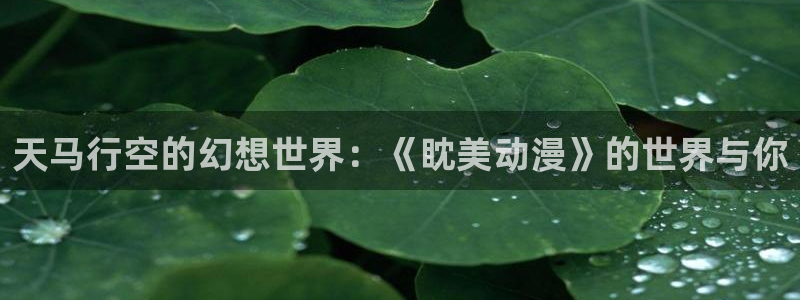 男人动漫天堂在线：天马行空的幻想世界：《眈美动漫》的世界与你