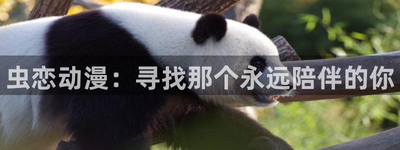 av动漫天堂网：虫恋动漫：寻找那个永远陪伴的你