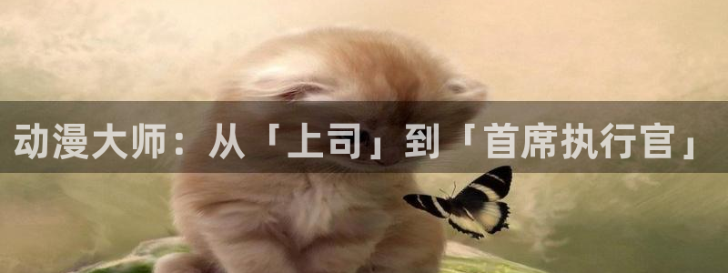 同人动漫天堂：动漫大师：从「上司」到「首席执行官」