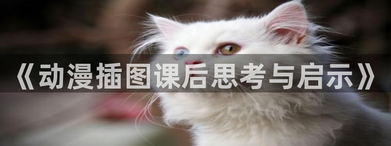 动漫天堂在线免费观看：《动漫插图课后思考与启示》