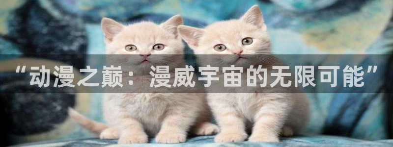 动漫天堂总站：“动漫之巅：漫威宇宙的无限可能”