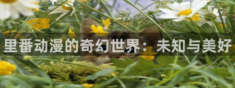 动漫天堂免费下载：里番动漫的奇幻世界：未知与美好