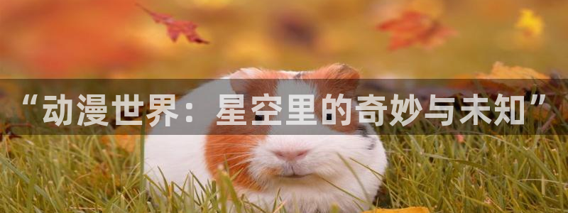 “动漫世界：星空里的奇妙与未知”