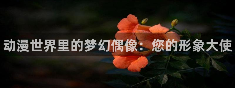 原神禁动漫天堂：动漫世界里的梦幻偶像：您的形象大使