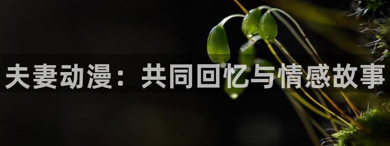 亚洲动漫天堂在线：夫妻动漫：共同回忆与情感故事