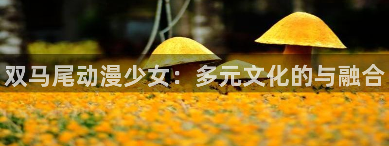成人动漫天堂网：双马尾动漫少女：多元文化的与融合